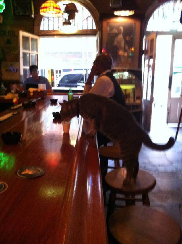 Morning Picdump