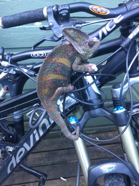 morning picdump 55 pics 16.html - 55 HD Photos | Premium Gallery 2015