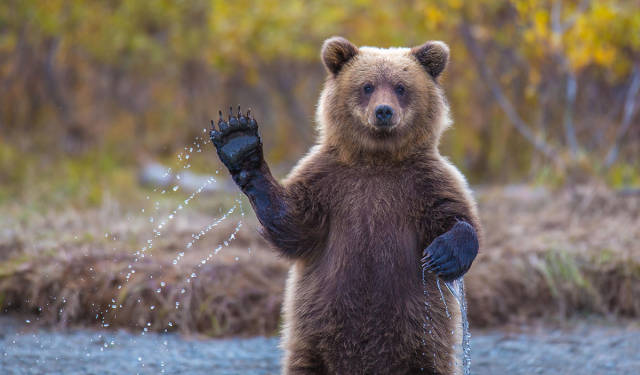 morning picdump 55 pics 16.html - 55 HD Photos | Premium Gallery 2015