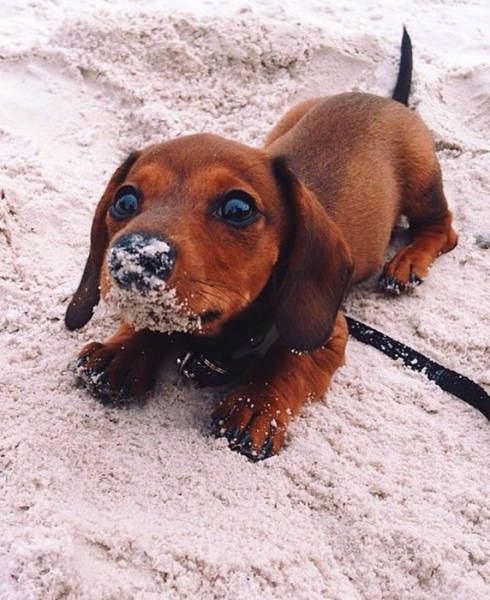 morning picdump 55 pics 21.html - 55 HD Photos | Premium Gallery 2015