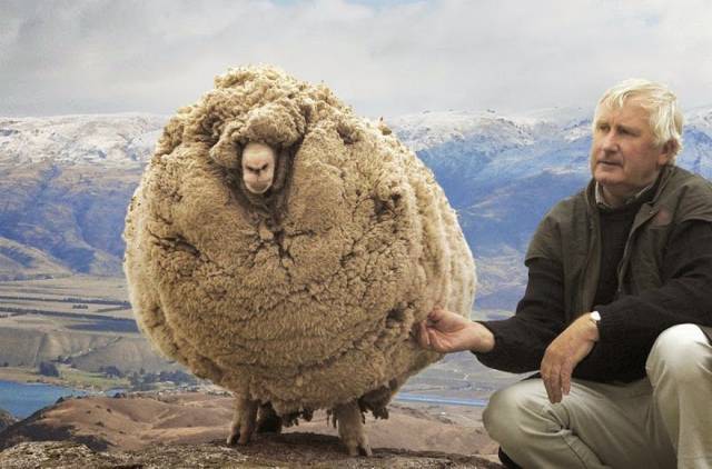 morning picdump 55 pics 21.html - 55 HD Photos | Premium Gallery 2015