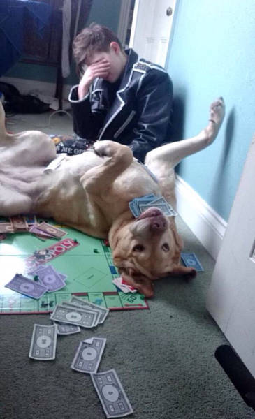 morning picdump 55 pics 21.html - 55 HD Photos | Premium Gallery 2015