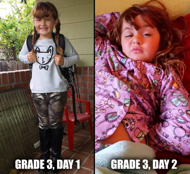 morning picdump 53 pics 1.html - 53 HD Photos | Premium Gallery 2015
