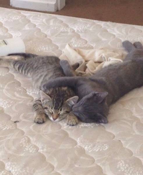 morning picdump 53 pics 1.html - 53 HD Photos | Premium Gallery 2015
