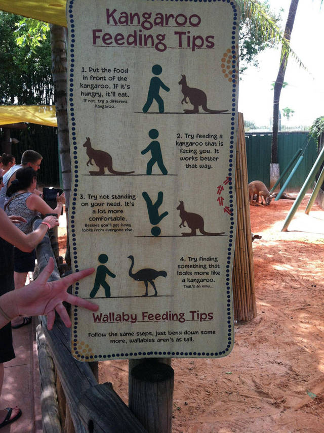 morning picdump 53 pics 1.html - 53 HD Photos | Premium Gallery 2015