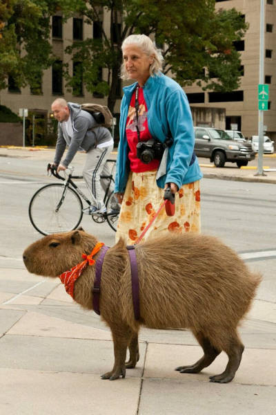 morning picdump 55 pics 5.html - 55 HD Photos | Premium Gallery 2015