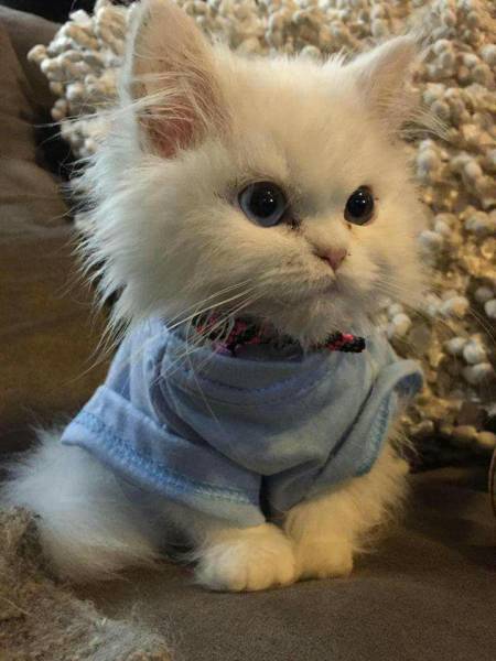Morning Picdump