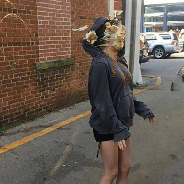 Morning Picdump