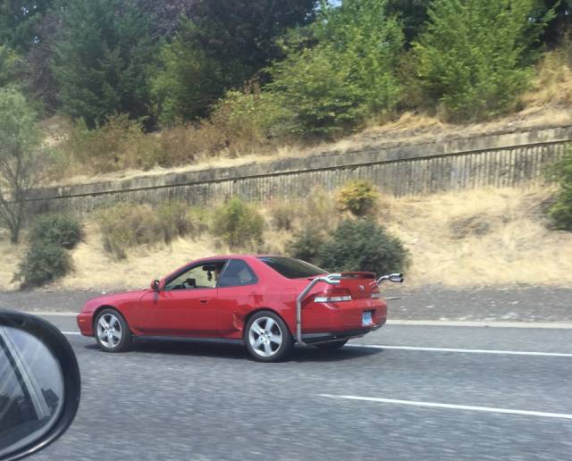 Morning Picdump