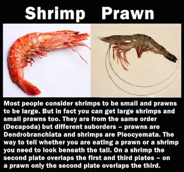 Words That People Often Misuse in Everyday Life