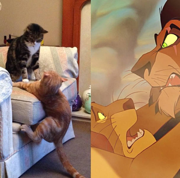 Morning Picdump