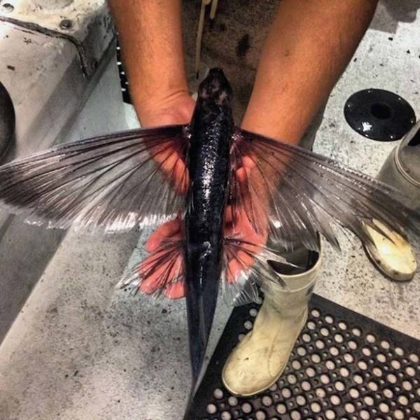 Morning Picdump