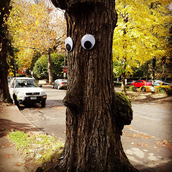 Morning Picdump