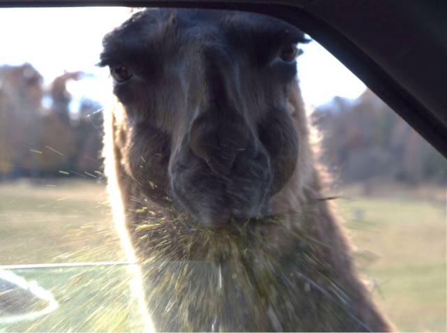 morning picdump 50 pics 2.html - 50 HD Photos | Premium Gallery 2015