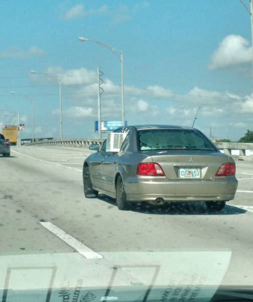 morning picdump 50 pics 2.html - 50 HD Photos | Premium Gallery 2015