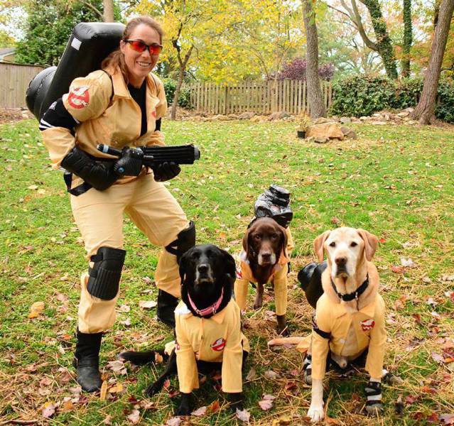 halloween costumes that totally rocked this year 100 pics 45.html - 100 HD Photos | Premium Gallery 2015