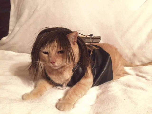 halloween costumes that totally rocked this year 100 pics 45.html - 100 HD Photos | Premium Gallery 2015