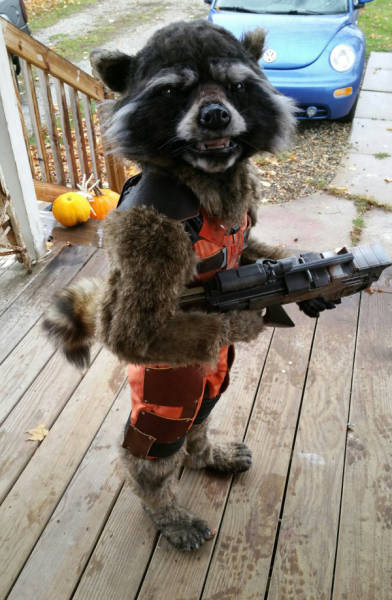 halloween costumes that totally rocked this year 100 pics 45.html - 100 HD Photos | Premium Gallery 2015