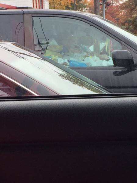 Morning Picdump