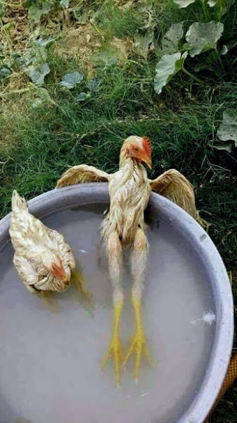 Morning Picdump