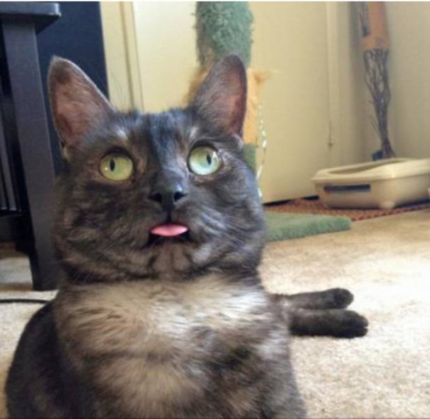 morning picdump 54 pics 2.html - 54 HD Photos | Premium Gallery 2015