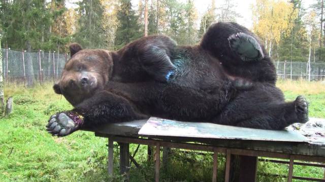 morning picdump 54 pics 2.html - 54 HD Photos | Premium Gallery 2015