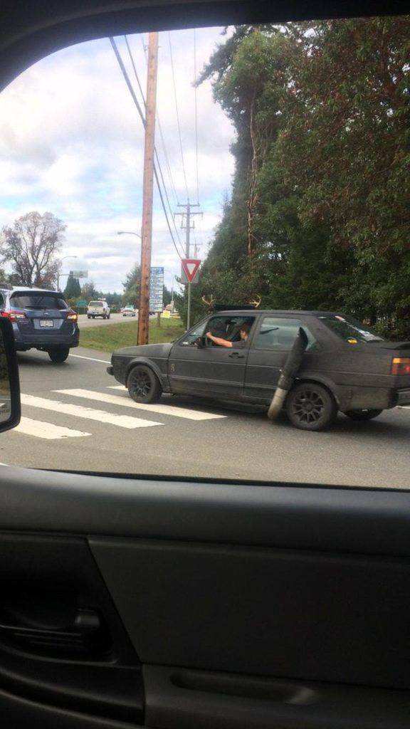 Morning Picdump