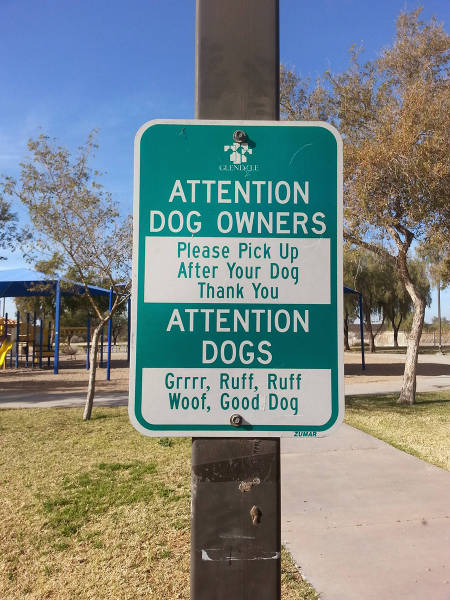 morning picdump 54 pics 2.html - 54 HD Photos | Premium Gallery 2015