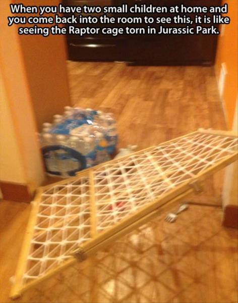 funny picdump 53 pics 10.html - 53 HD Photos | Premium Gallery 2015