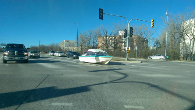 Morning Picdump