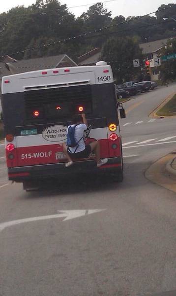 Morning Picdump