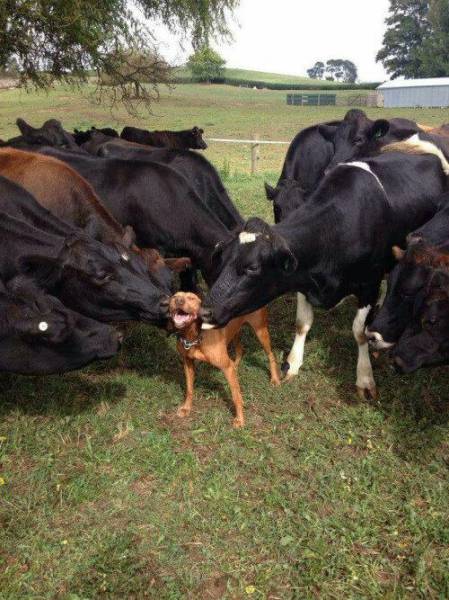 morning picdump 52 pics 8.html - 52 HD Photos | Premium Gallery 2015