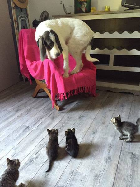 morning picdump 52 pics 8.html - 52 HD Photos | Premium Gallery 2015