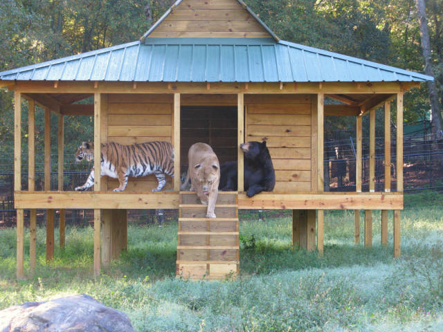 morning picdump 52 pics 8.html - 52 HD Photos | Premium Gallery 2015