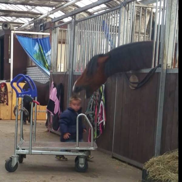 morning picdump 52 pics 8.html - 52 HD Photos | Premium Gallery 2015