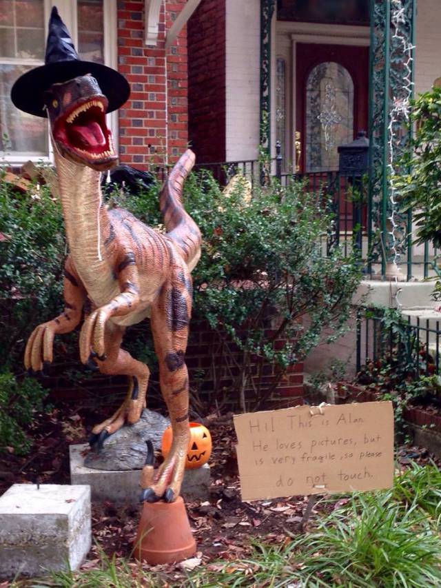 morning picdump 52 pics 8.html - 52 HD Photos | Premium Gallery 2015