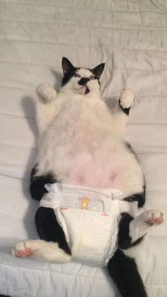 morning picdump 51 pics 11.html - 51 HD Photos | Premium Gallery 2015