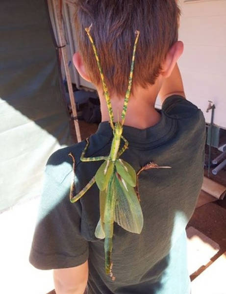 morning picdump 51 pics 11.html - 51 HD Photos | Premium Gallery 2015