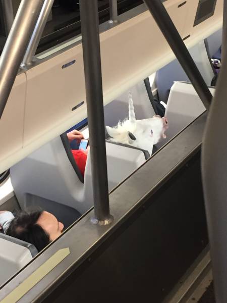 morning picdump 51 pics 11.html - 51 HD Photos | Premium Gallery 2015
