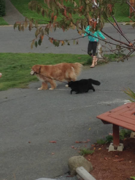 Morning Picdump