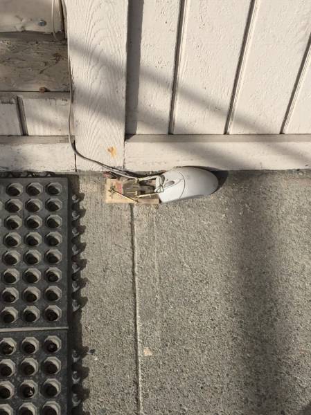 Morning Picdump