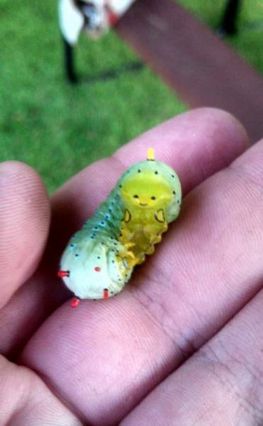 morning picdump 50 pics 3.html - 50 HD Photos | Premium Gallery 2015