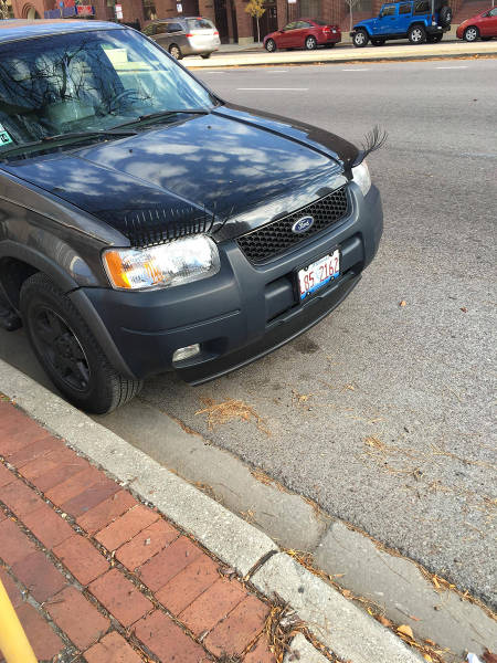 morning picdump 50 pics 3.html - 50 HD Photos | Premium Gallery 2015