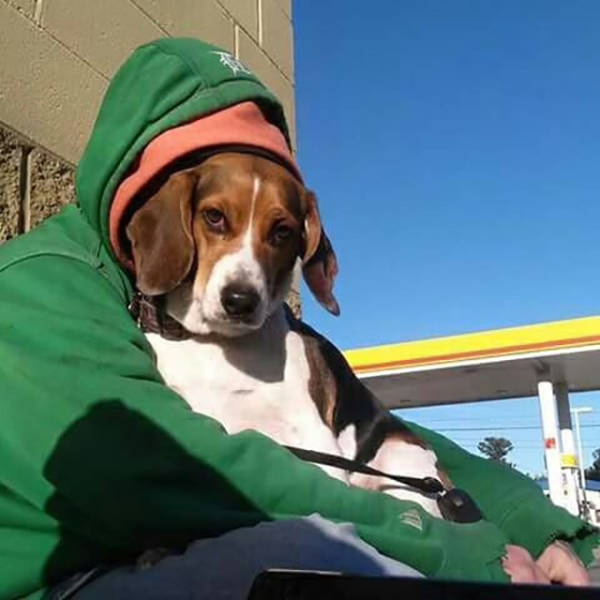 morning picdump 50 pics 3.html - 50 HD Photos | Premium Gallery 2015