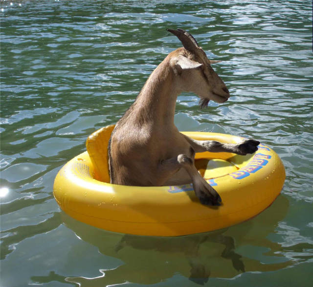 morning picdump 50 pics 14.html - 50 HD Photos | Premium Gallery 2015