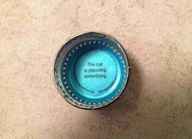 morning picdump 50 pics 14.html - 50 HD Photos | Premium Gallery 2015