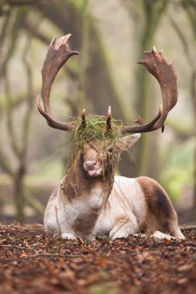 morning picdump 50 pics 14.html - 50 HD Photos | Premium Gallery 2015