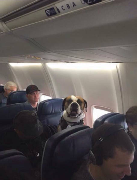 Morning Picdump