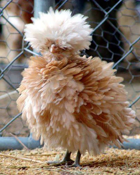 Morning Picdump