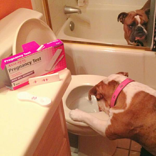 Morning Picdump